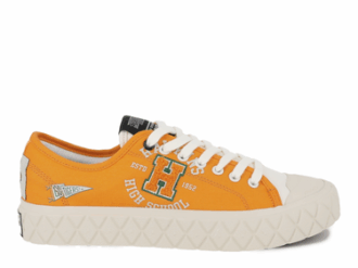 Palla Ace Tigers