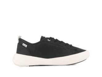 Pallanova Lo Lth