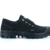 Pampa Oxford Pampa Oxford