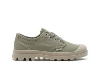 Pampa Oxford