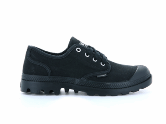Pampa Oxford
