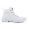Pampa Sp20 Hi Canvas